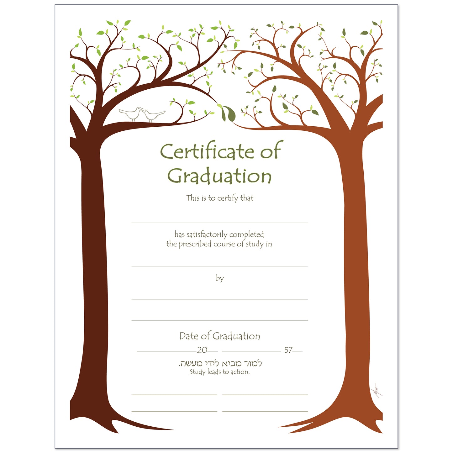 Graduation - Contemporary